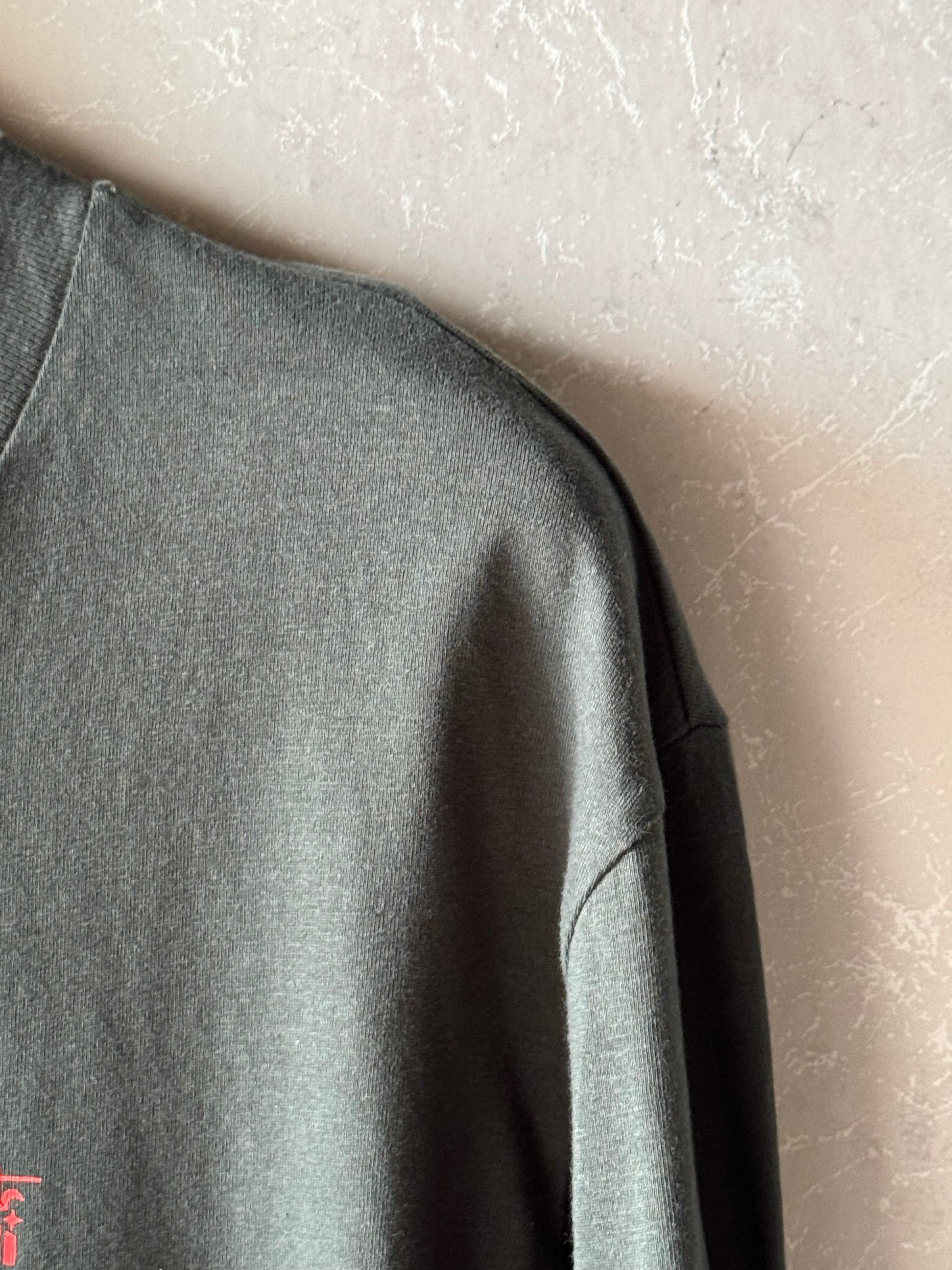 Mount Denali Shirt (Medium)