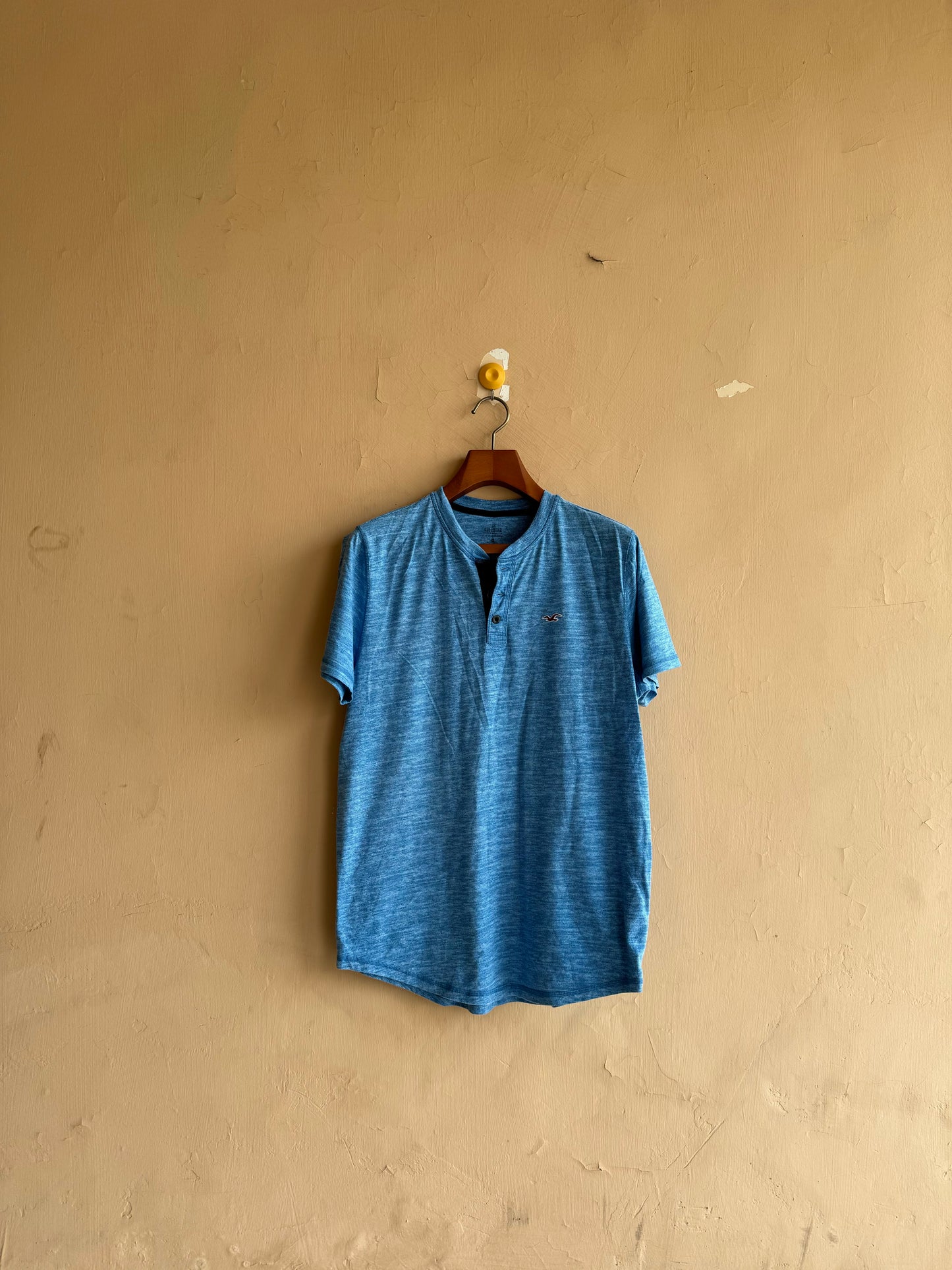 Hollister T-Shirt (Medium)