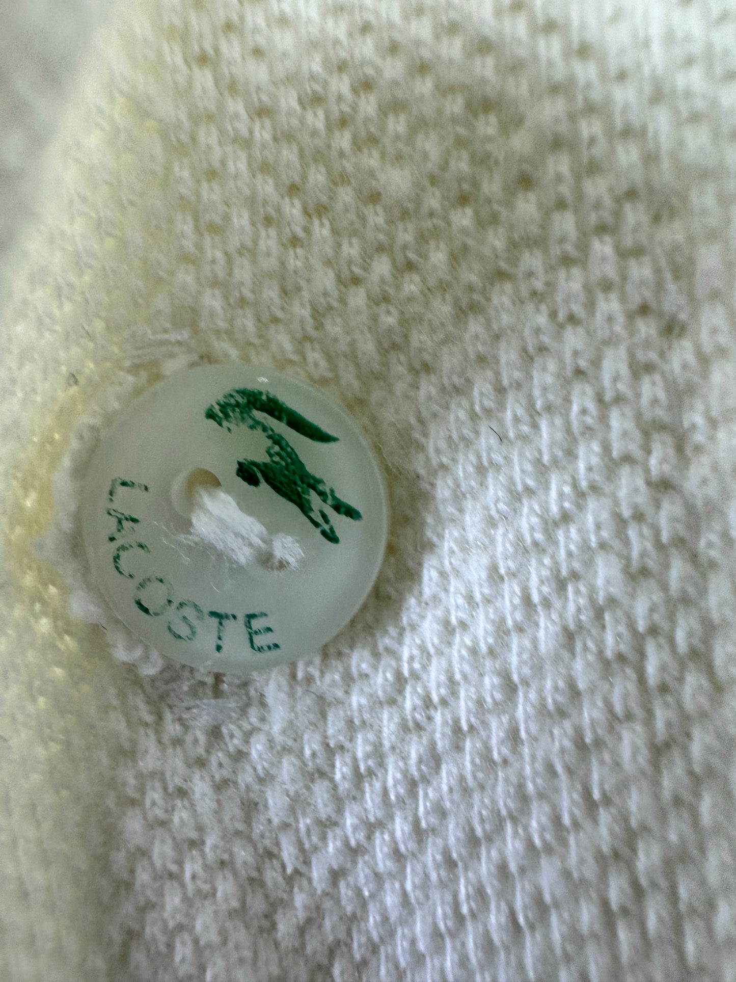 Lacoste Polo (Large)