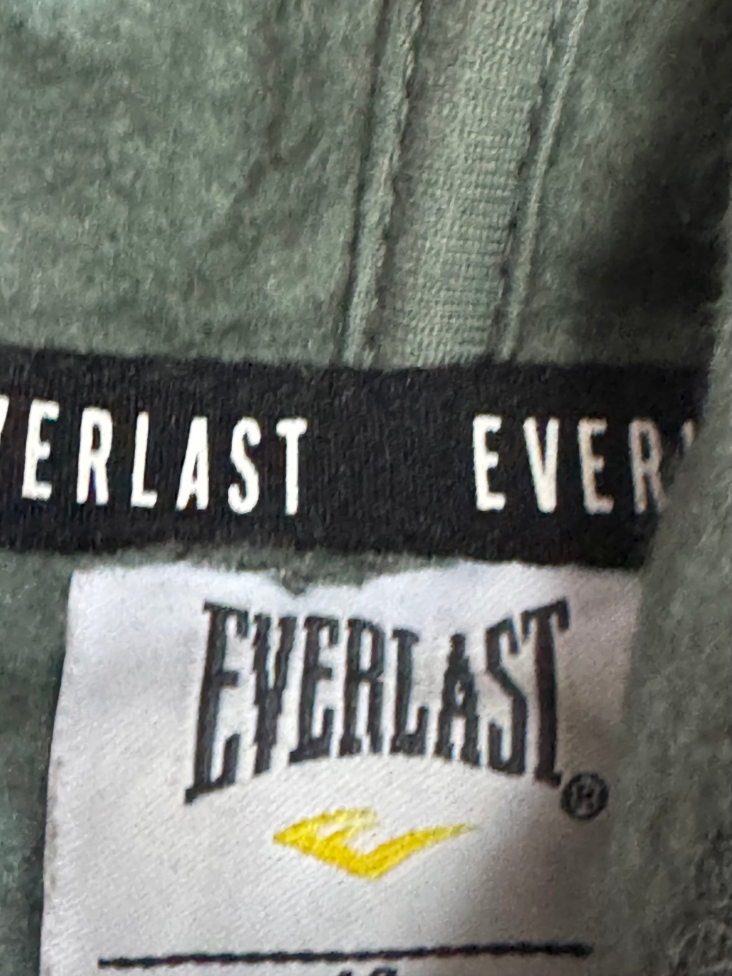 Everlast Cropped Hoodie (F) (Large)