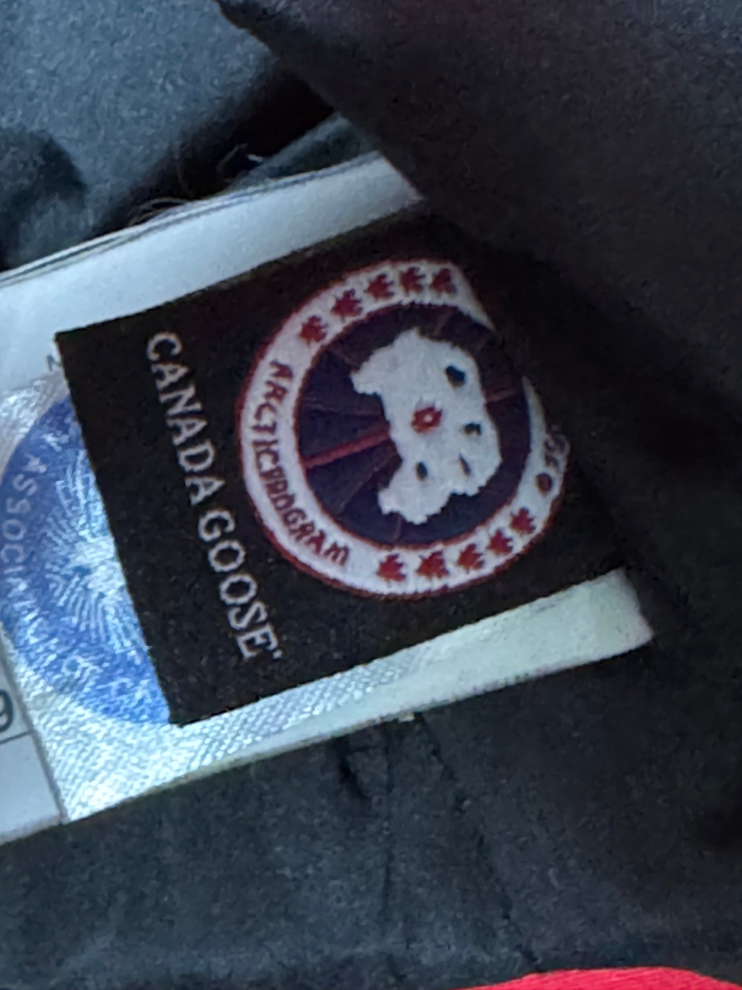 Canada Goose Jacket (Medium)