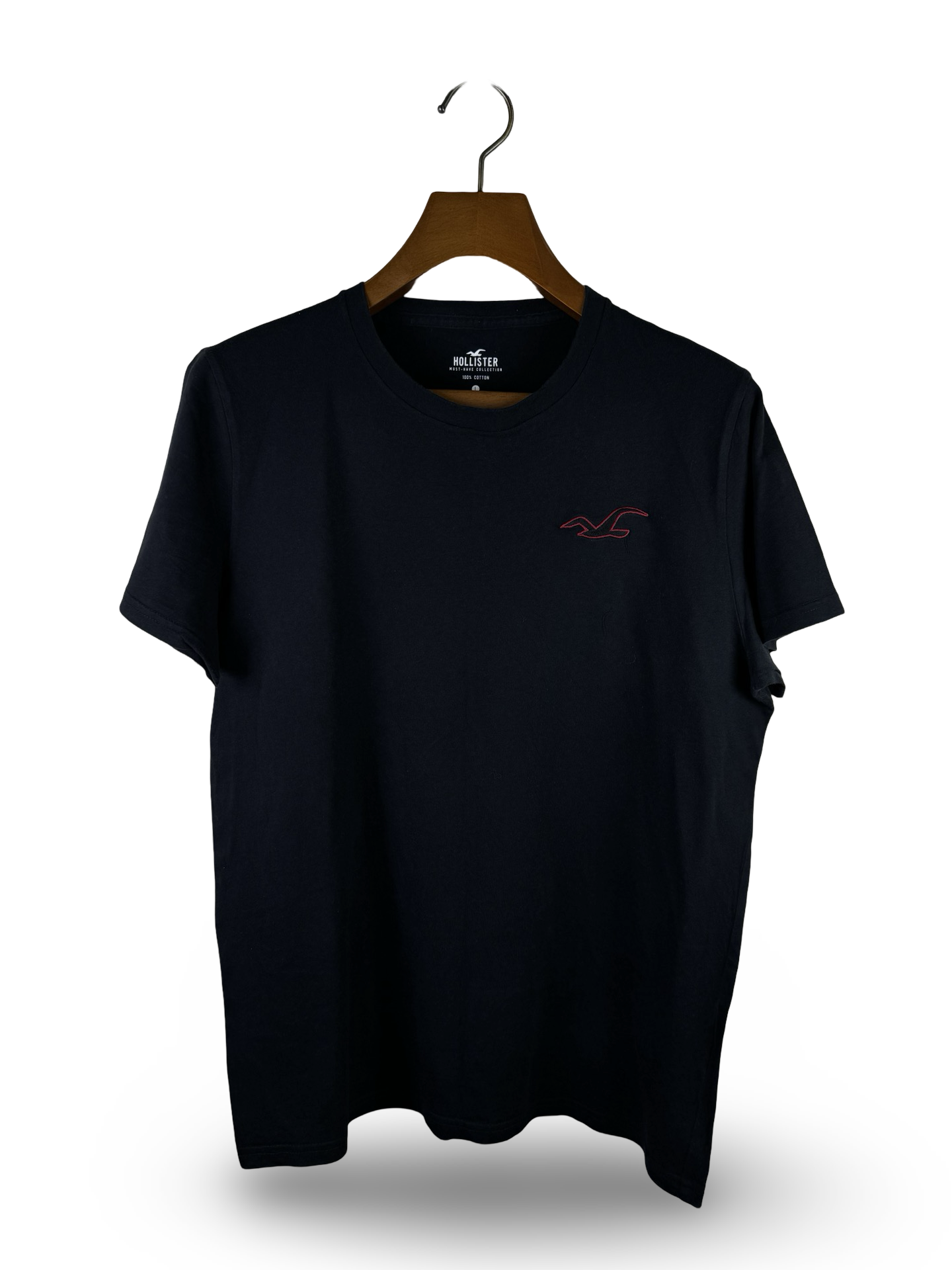 Hollister T-Shirt (Medium-Large)