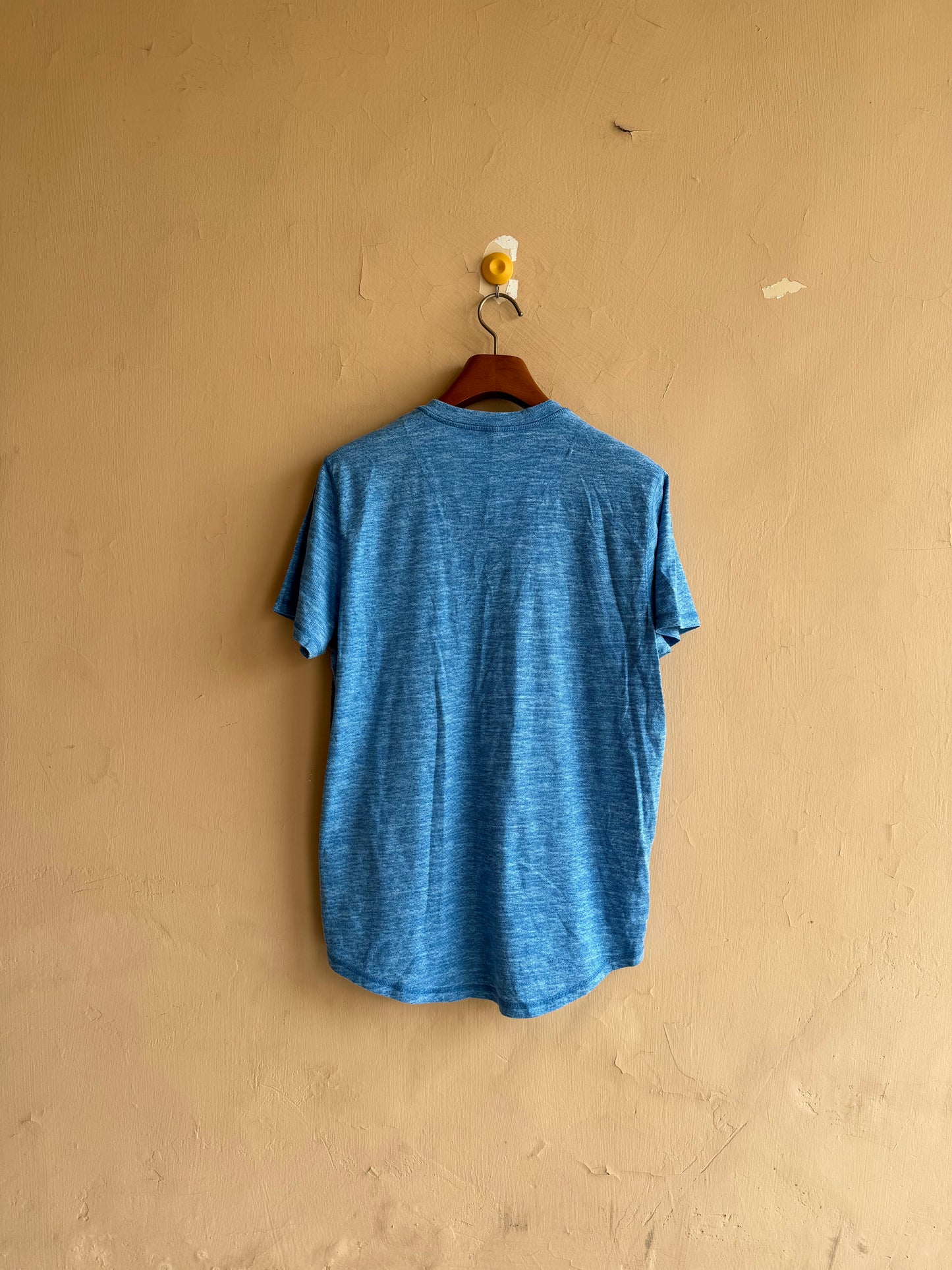 Hollister T-Shirt (Medium)