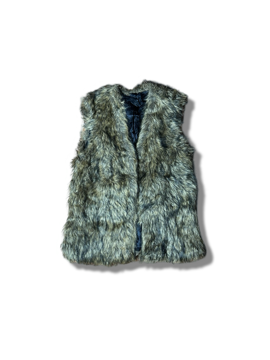 Limited Teddy Gillet (F) (Small-Medium)